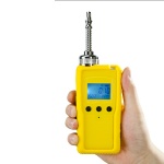 Portable chlorine gas detector